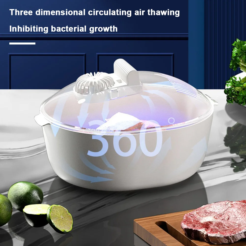 Tableware Meat Defroster Keeps Food Nutritious Physical Thawing Plate Frozen Meat Circulating Defroster Meat Defrosting Machine