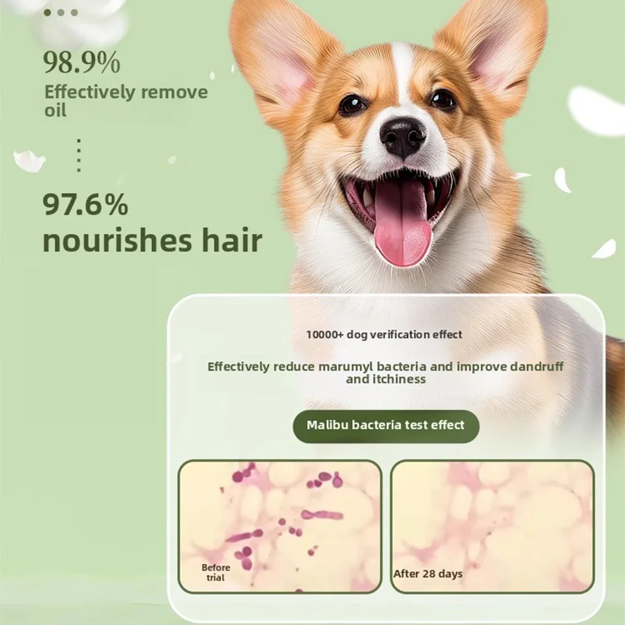 PETCLEAR 500ml Pet Yulin Jasmine Gel douche chien Gel douche élimination sale parfum longue durée animaux de compagnie chiens nettoyage fournitures