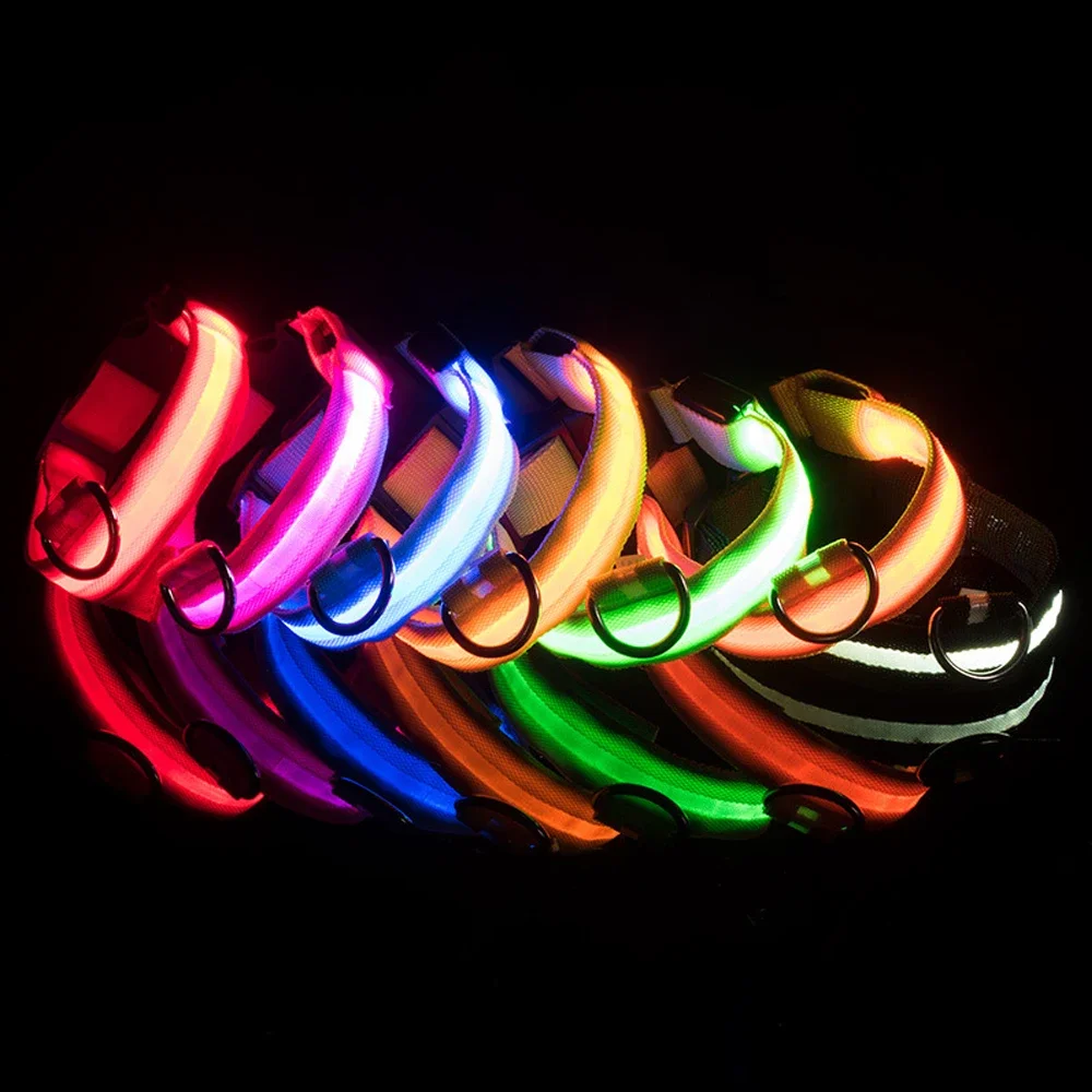 USB Charging Or Button Battery Led Dog Collar Perro Anti-Lost/Avoid Car Accident Luminoso Safety Personalizado Pet Chien Product