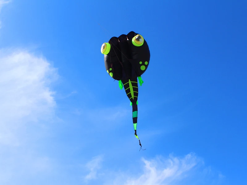 free shipping black tadpole kites flying soft kite nylon fabric kites for adults windsurfing parts dragon kite inflatable games