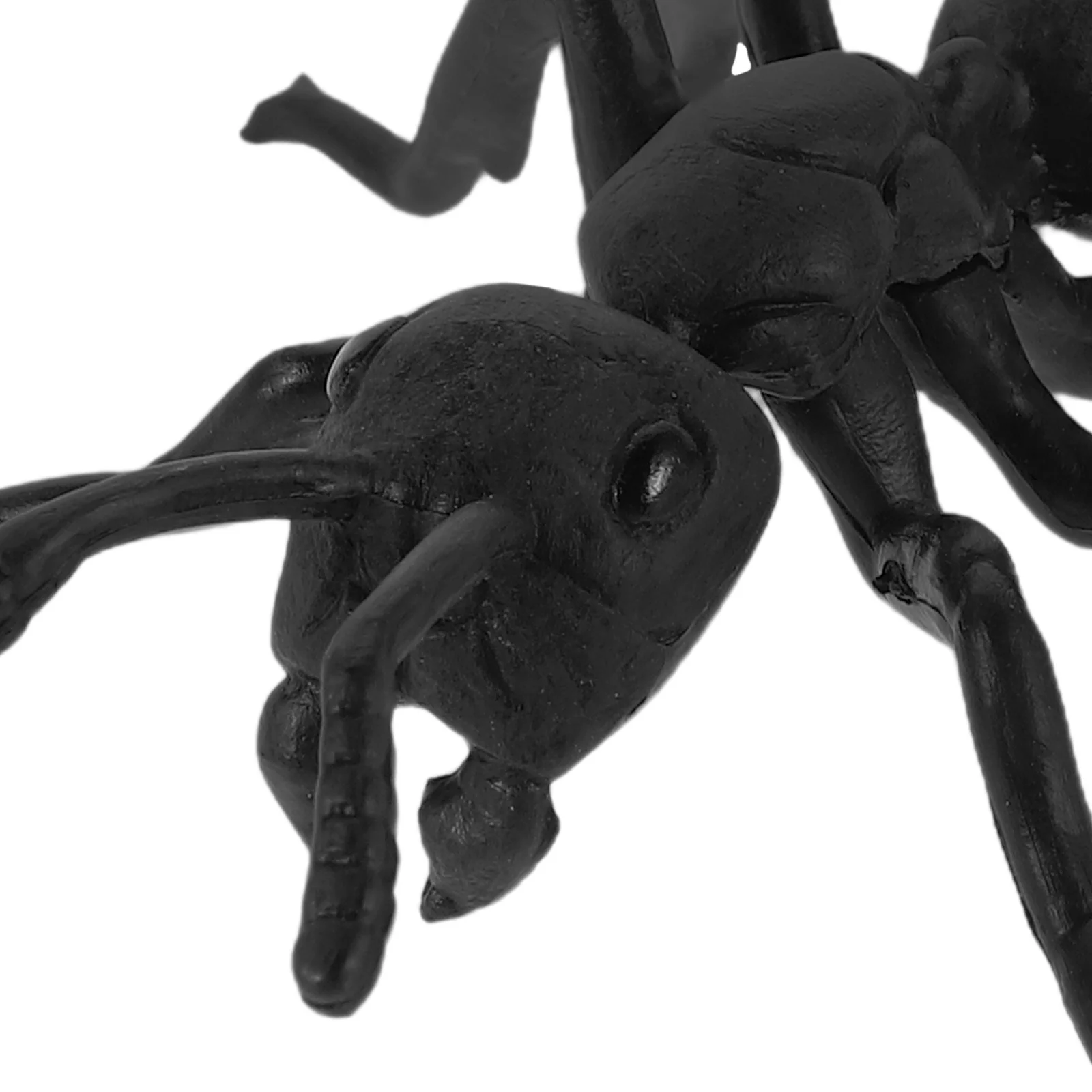 زخارف ساحة النمل الكبيرة نماذج حشرات واقعية لديكور الحديقة والمناظر الطبيعية الخارجية وحفلات التعلم للأطفال #2