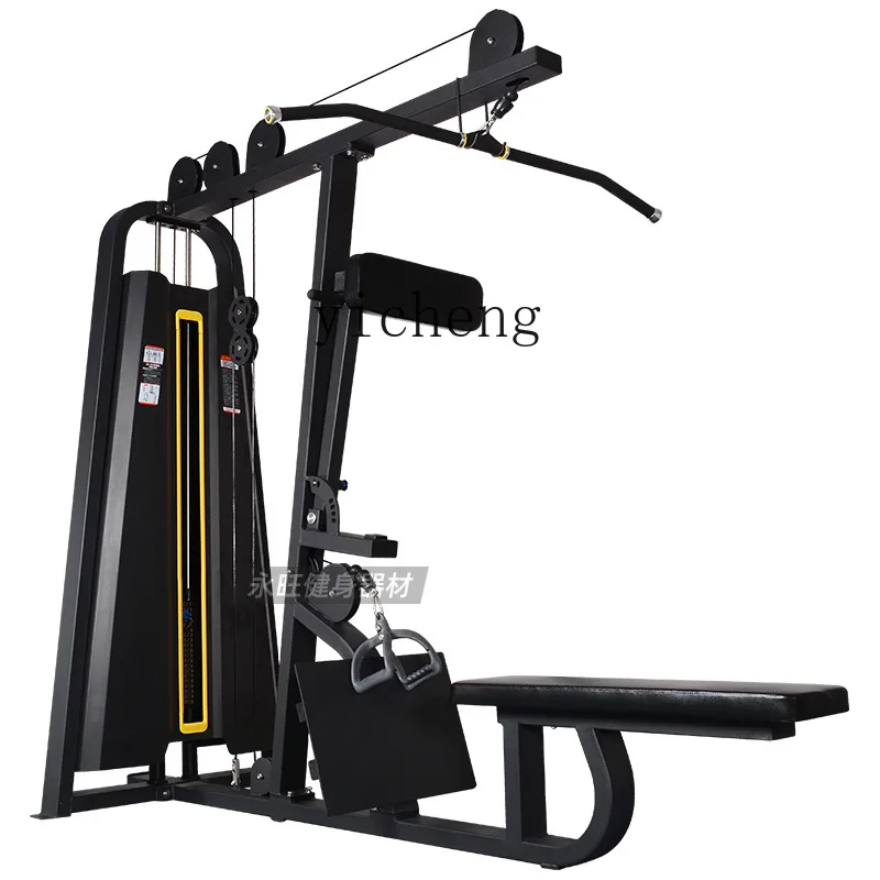 Zc High Pull Low Pull All-in-One Gym Commercial Back Muscle Training Equipment Private Education Commercial Equipment