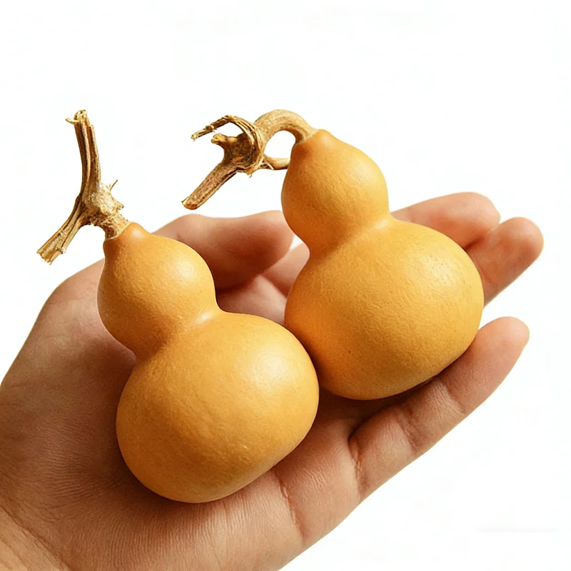 

Mini Natural Dry Gourds Craft Small Calabash Gourd Fengshui Bagua Hulu /Dried Lagenaria siceraria Gourds