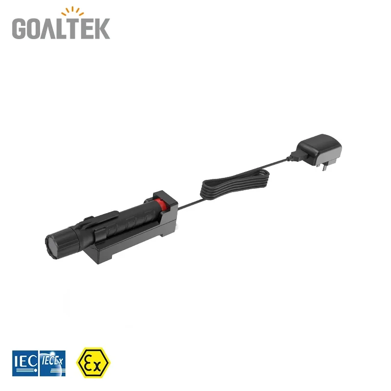 Goaltek ATEX torch or flashlight can be really handy for helping employees