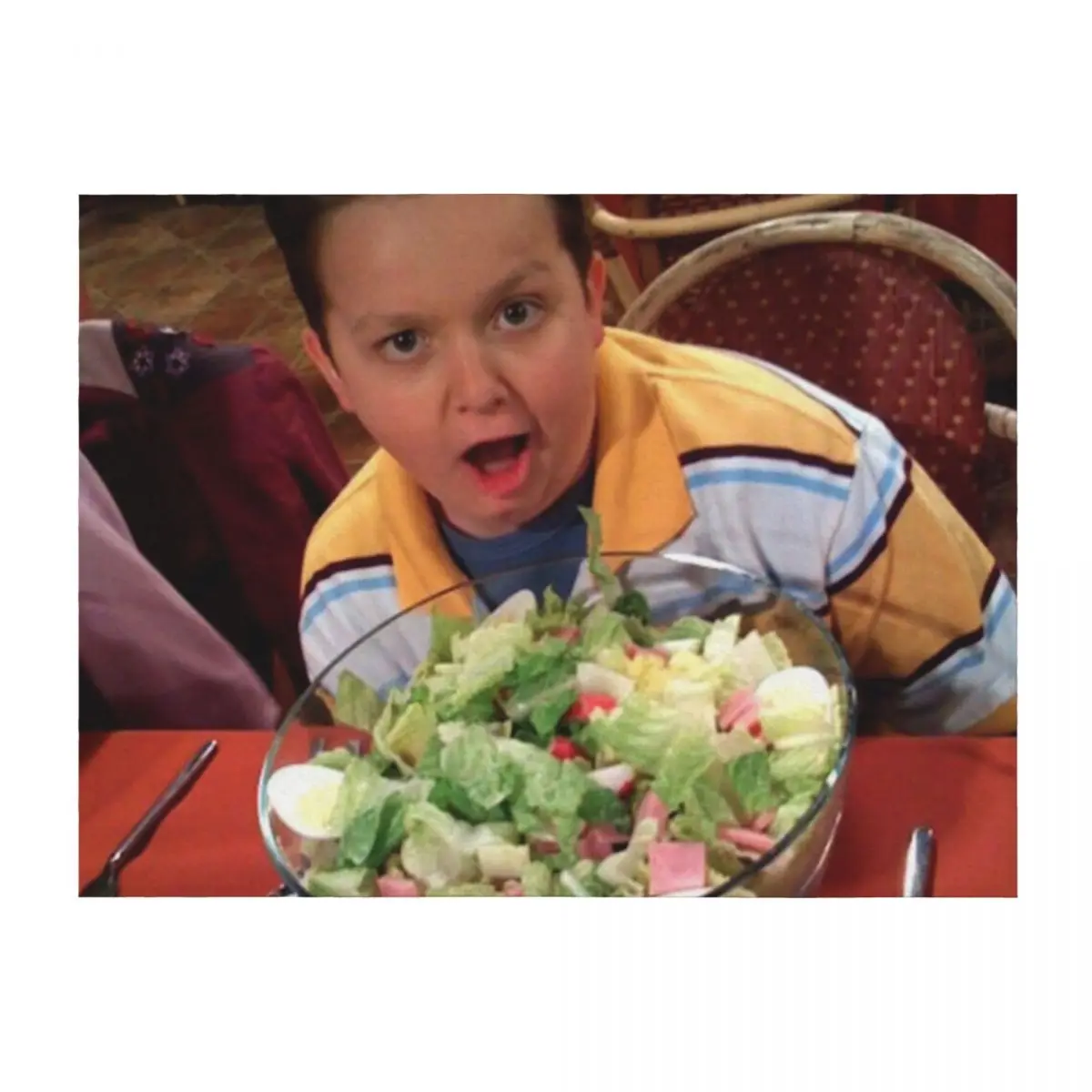 

gibby with a salad Throw Blanket Designers Blankets For Sofas Decorative Sofas Decorative Throw Blankets