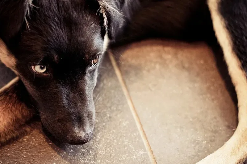 

Metal Main Chassis Plate IF601 for Kyosho MP10 1/8 RC Car Upgrade Parts Accessories