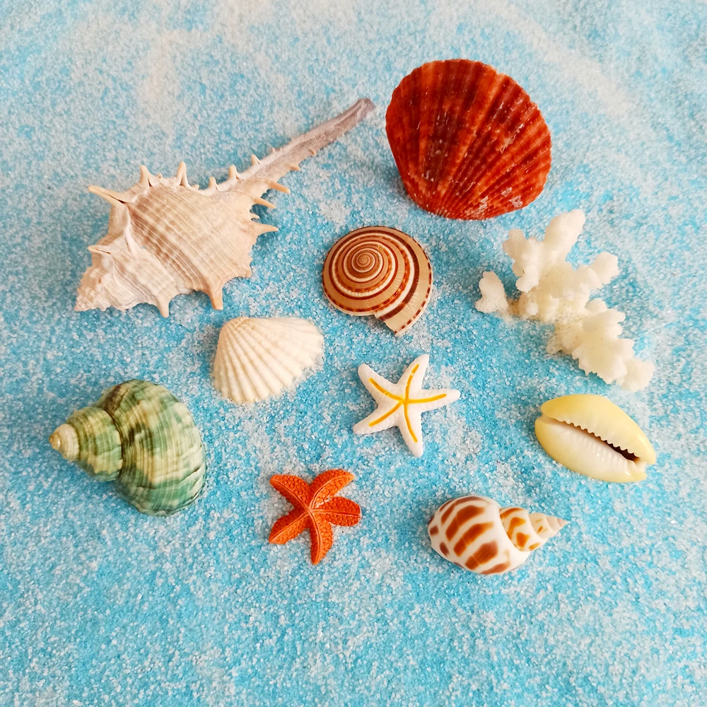 Algae Ball Aquarium Decoration Toy Coral Eco-Friendly Bottle Decoration Figurine Mediterranean Style INS Style Aquarium Ornament