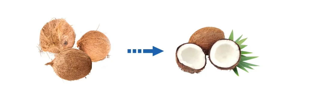 Stainless Steel Fresh Coconut Spliter Water Collection Extractor Machine Coconut Green Split Half Water Dispenser