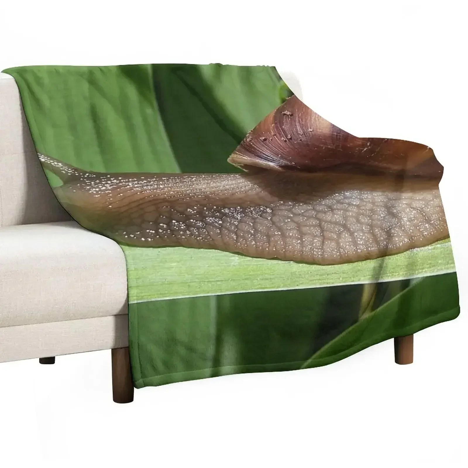 Large Brown Snail Ahatina on Green Leaf - Funny Science Biology Gift Throw Blanket Quilt Large Winter beds Plaid Blankets
