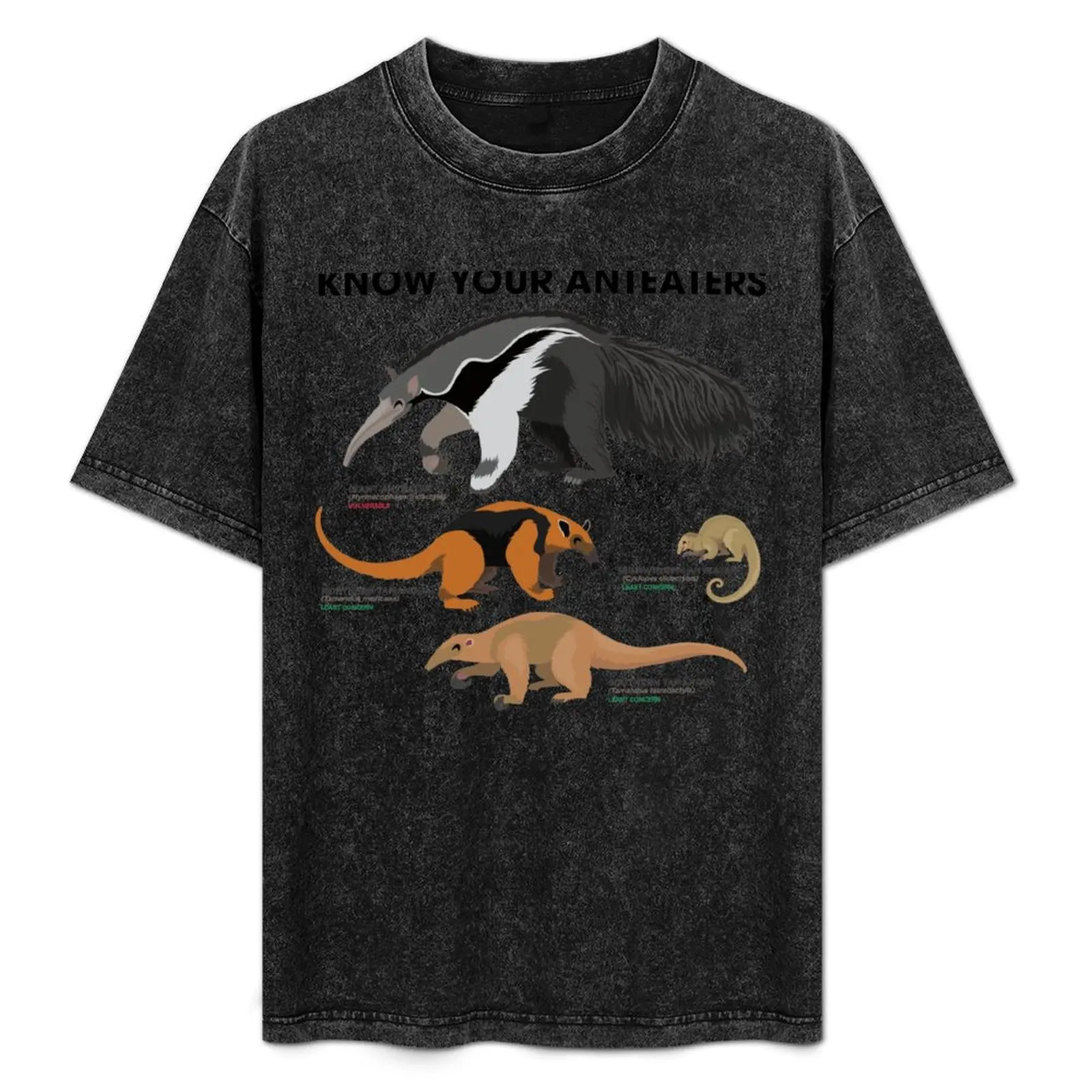 

Know Your Anteaters T-Shirt man graphic t shirt funny t shirts man t shirts for man graphic tees anime shirts oversize T-Shirt