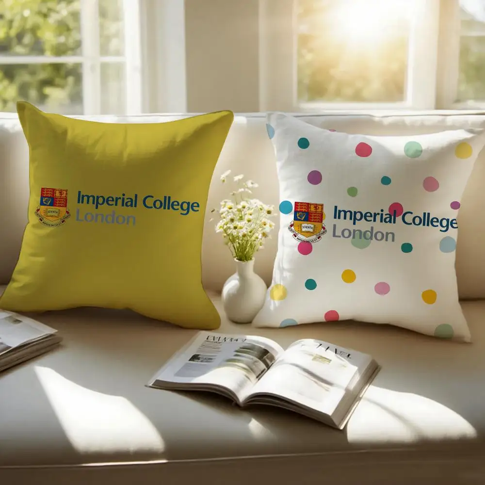 Imperial College London Cushion Cover Sofa Cushion Cover Personalized Gift Living Room Home Decor Pillow