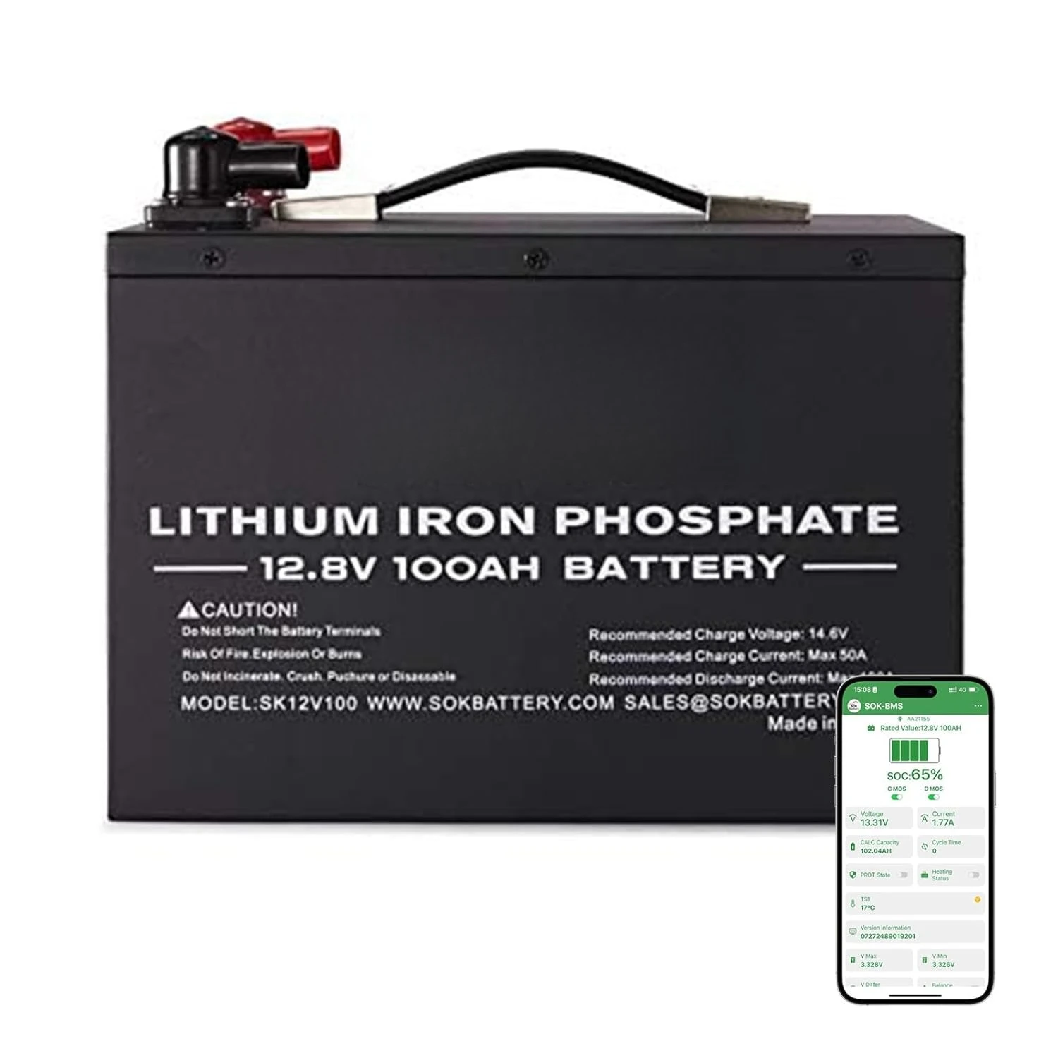 

100Ah 12V LiFePO4 Lithium Iron Phosphate Deep Cycle Battery, Perfect for Your RV or Any Off-Grid Applications, Low, Custom