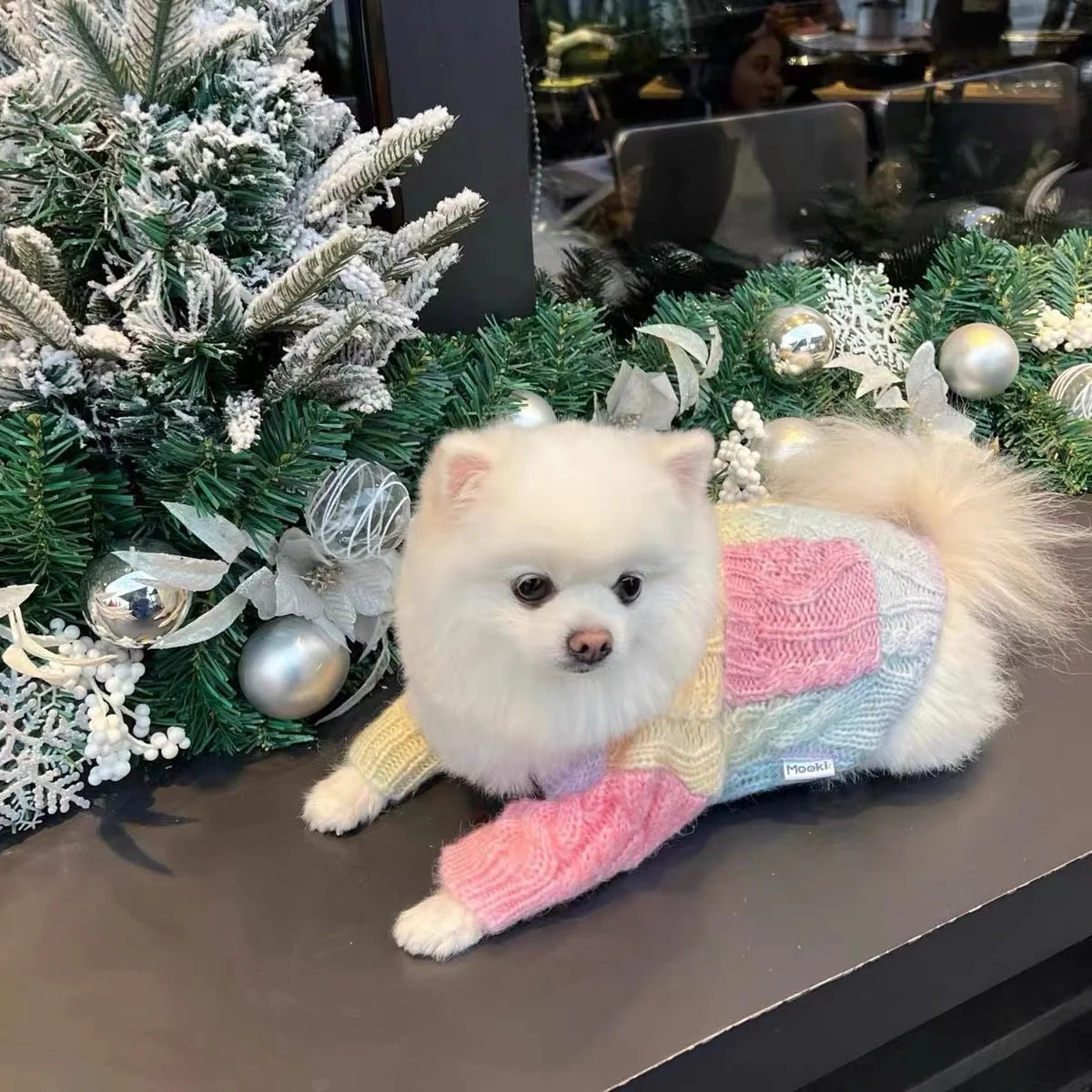 Pet Knitted Gradient Sweater Coat for Cats and Dogs To Wear Warm Autumn/Winter Cute Colorful Coat Designer Dog Clothes