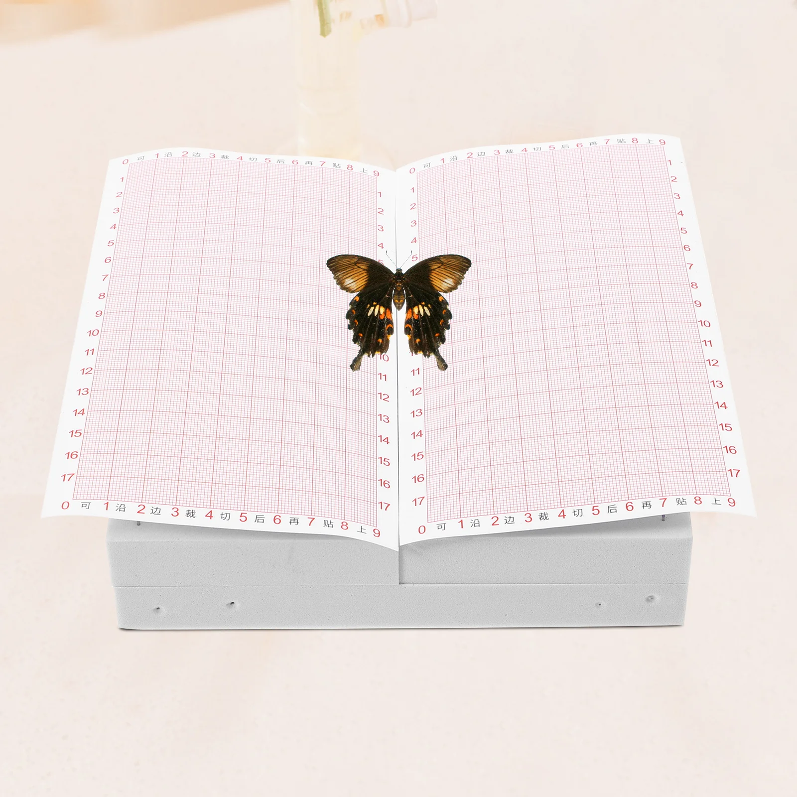 لوحة توزيع أجنحة الفراشة القابلة للتعديل، لوحة تثبيت عينة الحشرات لتركيب وتجفيف الحشرات، إيفا الاحترافية