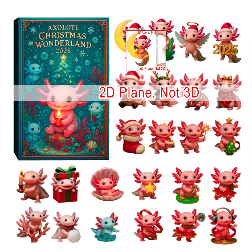

2D Flat Salamander Calendar Advent Random Box Dragon in The Forest Mystery Box 24 Days Countdown Box for Christmas