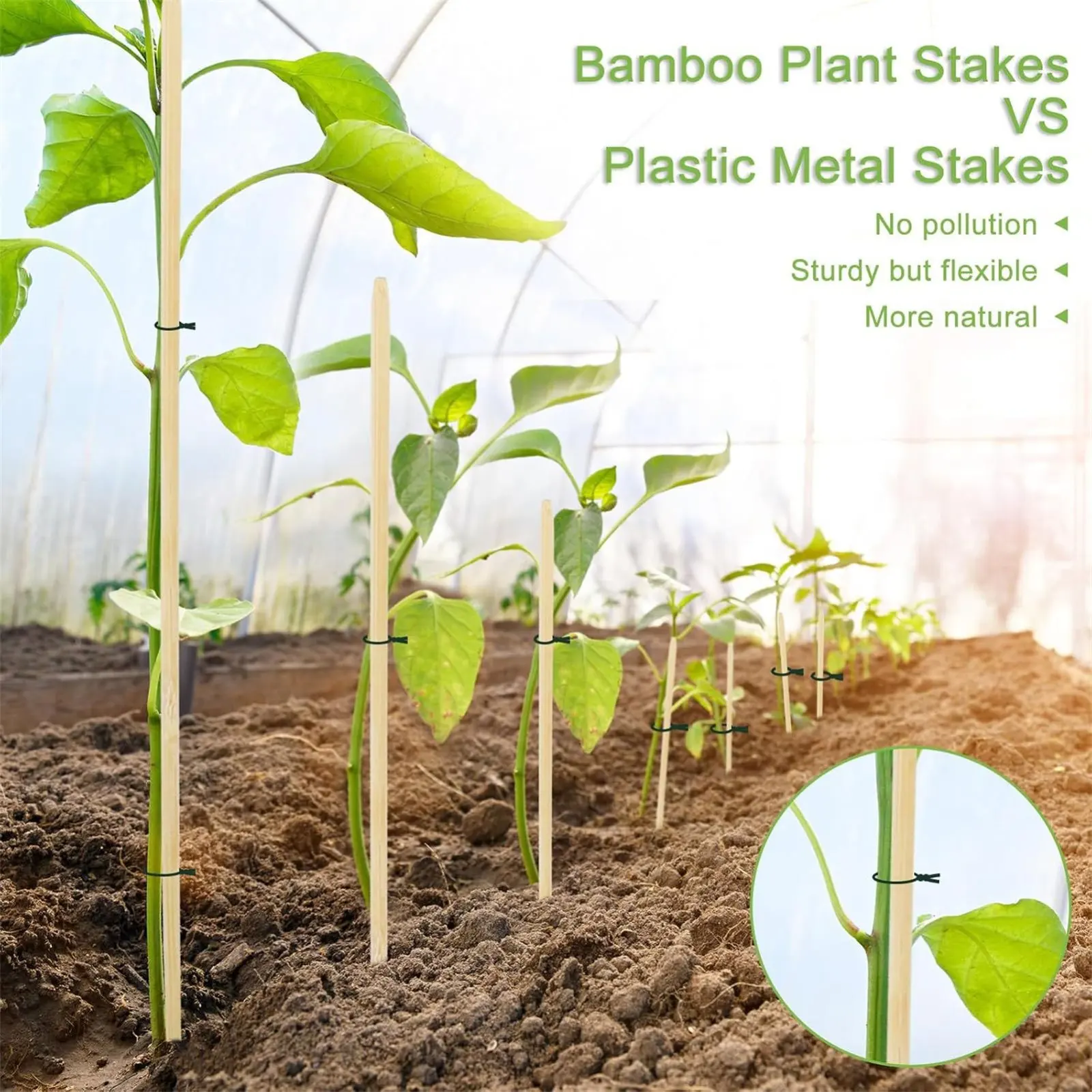 Bamboo Plant Support Stakes Natural Garden Seedling Holders for Tomatoes Peas Greenhouse Plants Holder Support Gardening Tool