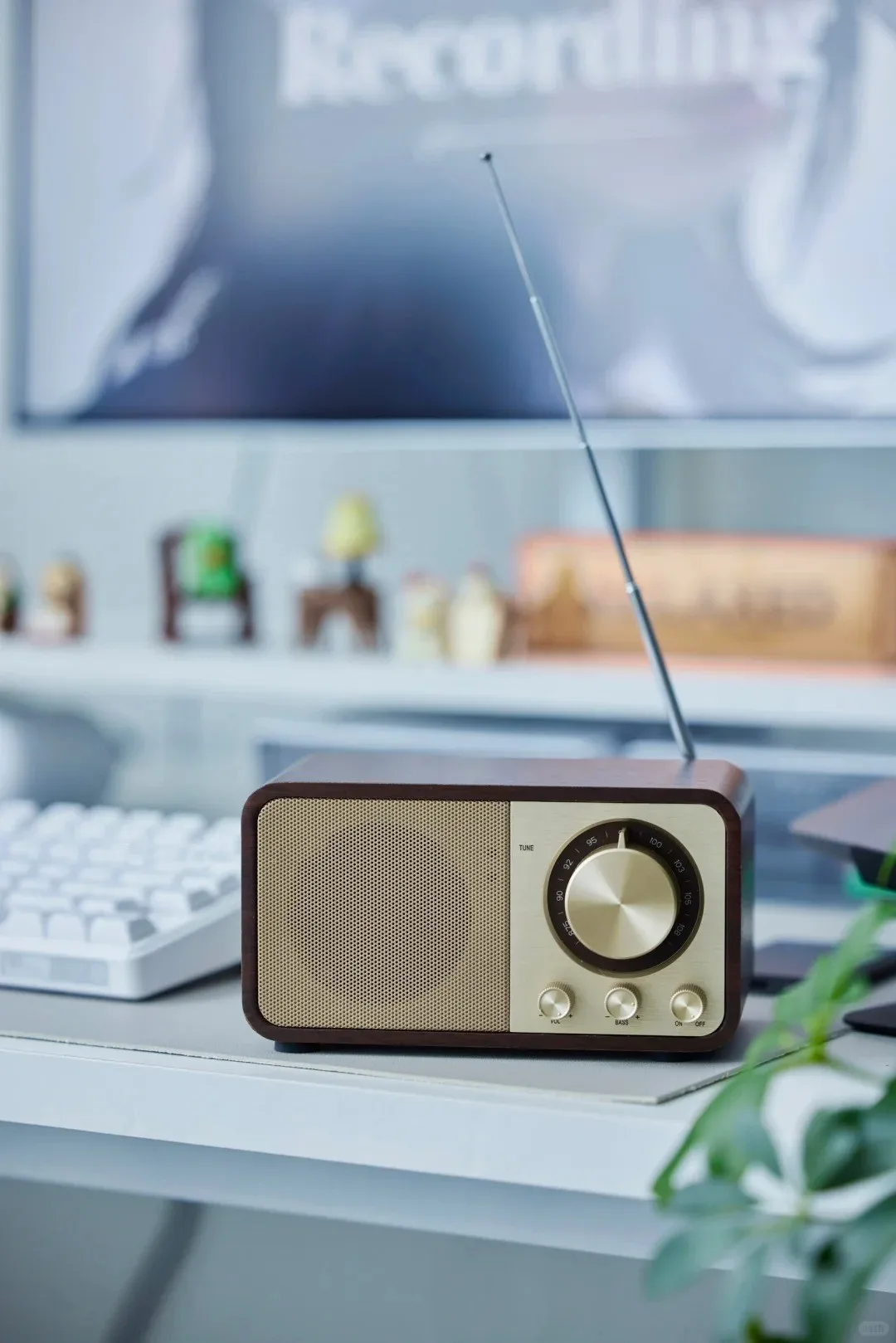 Fashion Retro Walnut Wood Bluetooth Speaker FM Radio Portable Wireless Wooden Speaker