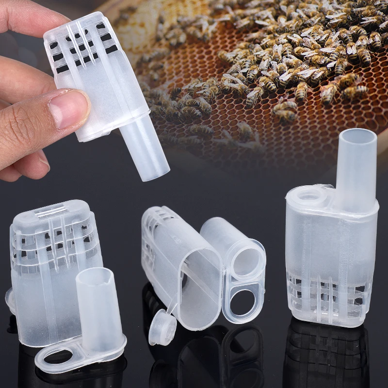 20pcs New Queen Bee Cages Beekeeping Protection Queen Bee Isolation Plastic White Move Queen Bee Beekeeping Tools