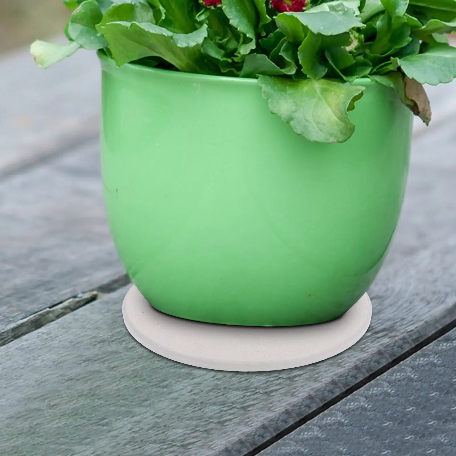 5Pcs Diatom Mud Plant Coasters Indoor Flower Pot Tray 10x10cm Instant Dry Super Absorbent Stone Saucers Quick Dry Plant Drip