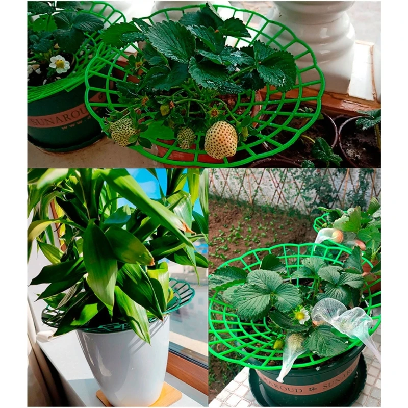 Soporte marco fresa, soporte para plantas, estante plantación, evita putrefacción del suelo, soporte marco para
