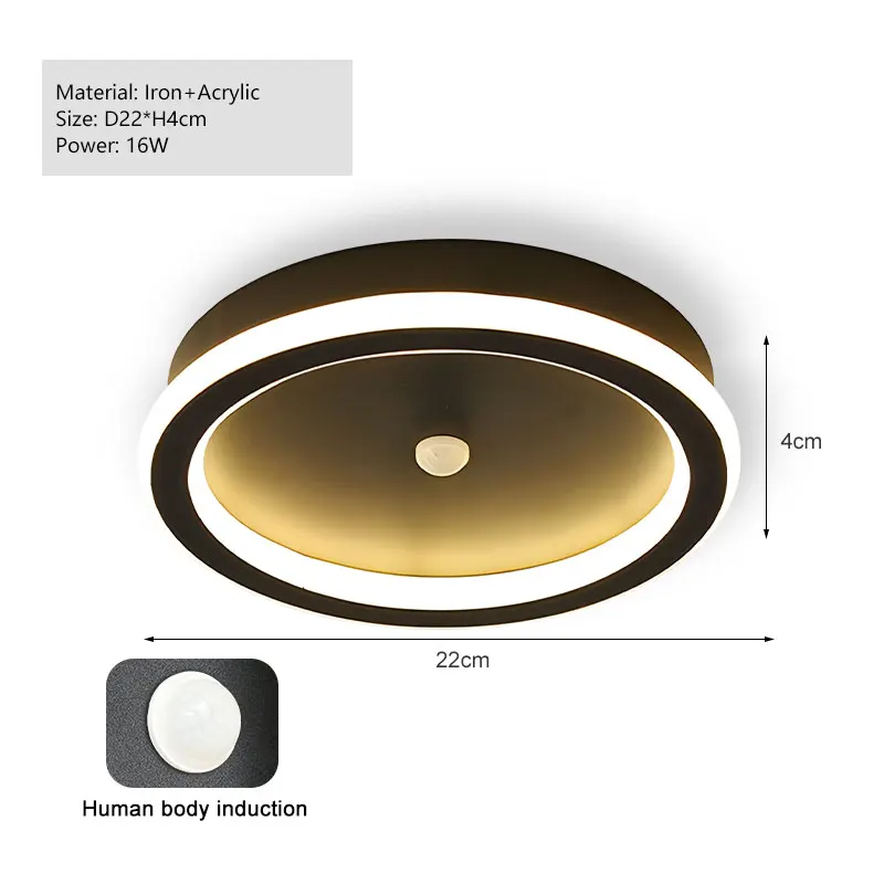 Zwart PIR Bewegingssensor Plafondlampen voor Slaapkamer Woonkamer AC85-265V Indoor Inductie Plafondverlichting Decor voor Gang Gangpad