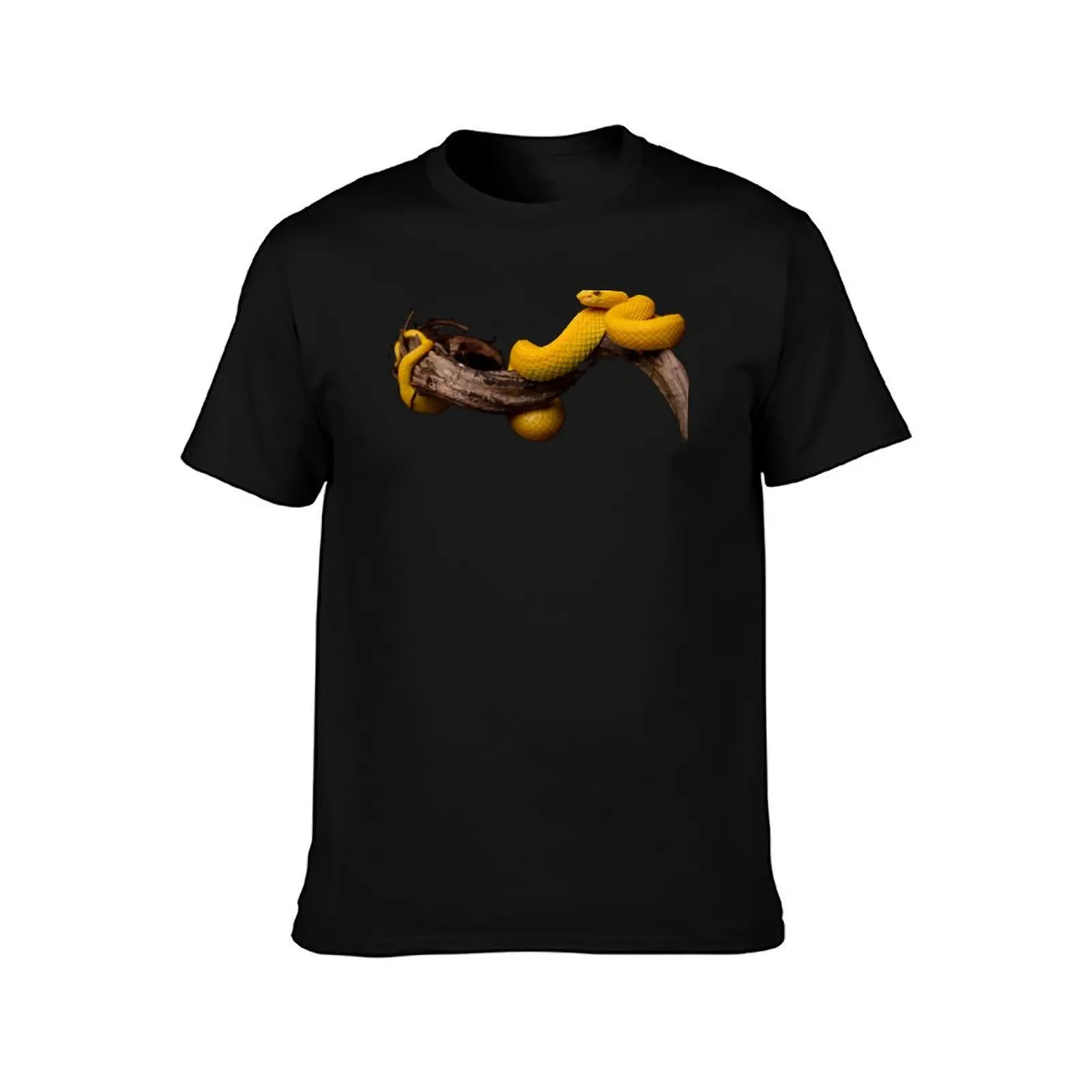 Eyelash Viper - Bothriechis schlegelii T-Shirt Soft Casual Short Sleeve Cotton Tee T-Shirt