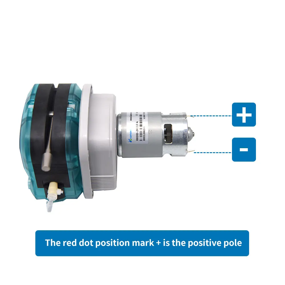 Imagem -02 - Kamoer High Flow Peristaltic Bomba Kkdd dc Motor Dosagem Bomba Cabeça Simples e Dupla Quick Change Tubing 12v 24v 4001300 ml Min