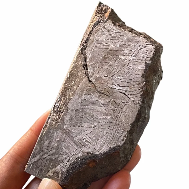 Muonionalusta Iron Meteorite Slice Etched Widmanstatten Pattern Specimen With Original Crust Mineral Collection Display CC258