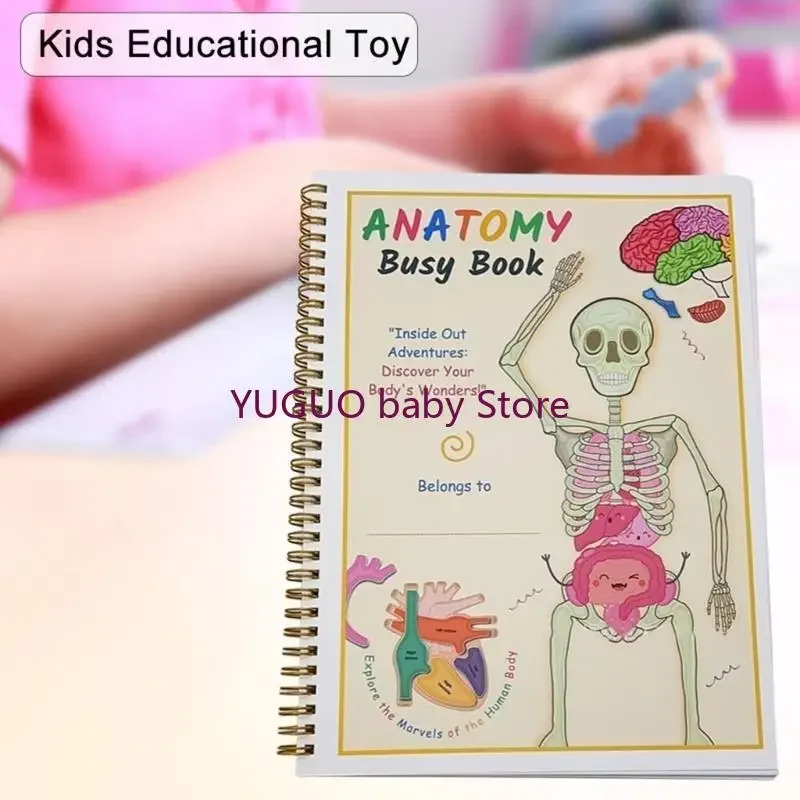 ملحق كتاب تفاعلي للتشريح البشري للأطفال يتعلمون عن أجزاء الجسم ومتعدد الوظائف للأعمار من 6 إلى 8 15UB