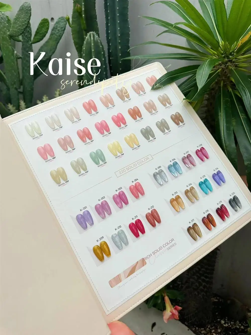 Agreise-Ensemble de gel à ongles multicolore dépareillé, 220 couleurs, nouveau modèle, kit d'art, salon de manucure, article chaud, gel non CUUv, 2024