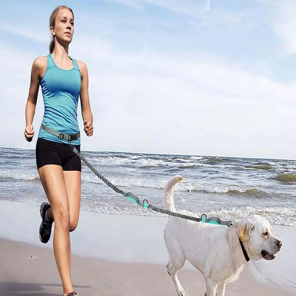 

Reflective Traction Rope Lightweight Durable Pet Strap Jogging Black Pulling Large Pets Leash Nylon Safe Outdoor