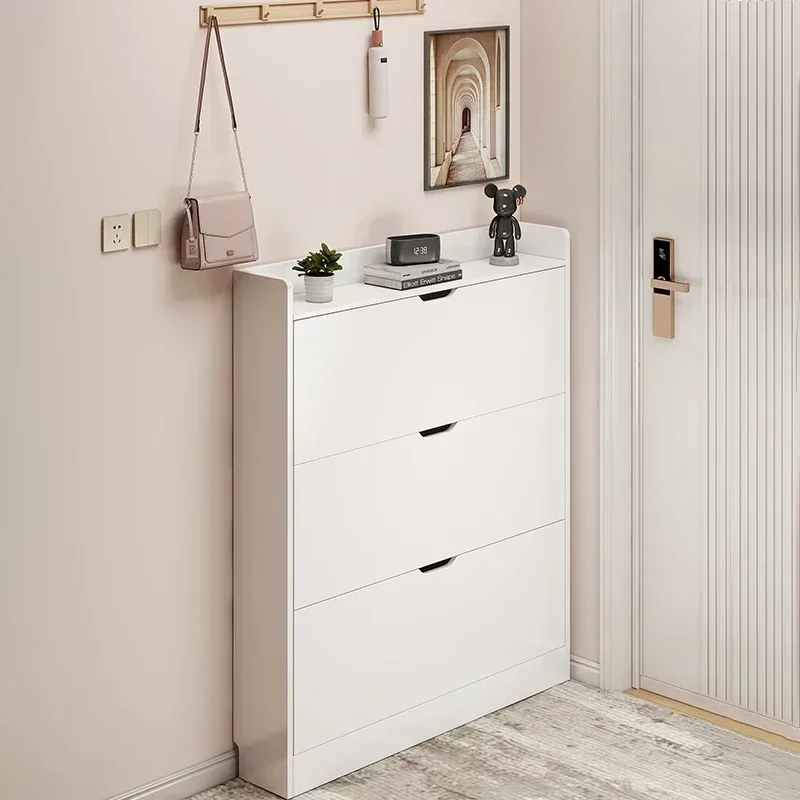 Shoe Cabinet Modern With Door Space Saving for Entryway for Hallway Sturdy Construction, Entryway Shoe Rack