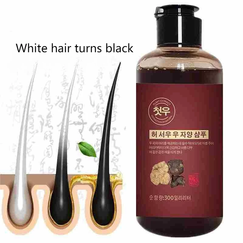

Polygonum multiflorum Herbal Root Shampoo Dark Hair Scalp Nourishment Shine Enhancement, Soothes Itchy Scalp Daily Nourishing