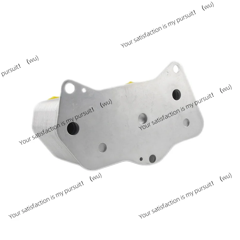 

Transmission Oil Cooler 02E 6-Speed DSG 02E409061C for Volkswagen Accessories