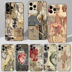 Medical Human Anatomy Phone Case For iPhone 16,15,14,13,12,11 Plus,Pro Max,XS,X,XR,SE,Mini,8,7 Soft Silicone Black Cover