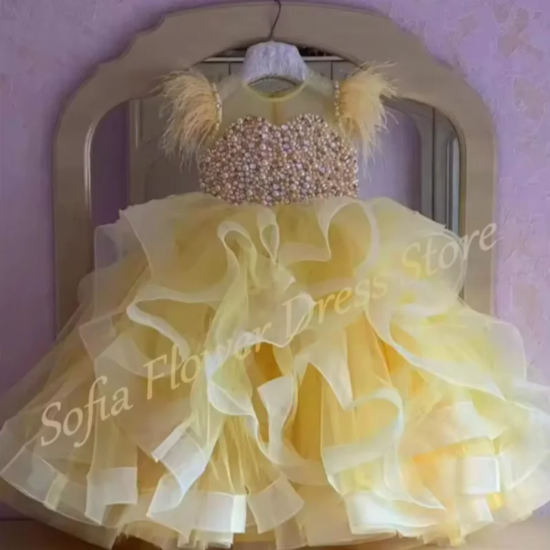 فستان الأميرة المطرز على شكل زهرة للفتيات فستان فاخر مطوي للفتيات أول مناولة لحفلات أعياد الميلاد قابل للتخصيص #2