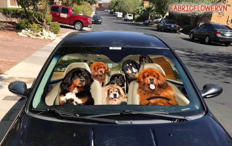 Tibetan Mastiff Car Sunshade, Tibetan Mastiff Car Decoration, Dog Windshield, Dog Lovers Gift, Dog Car Sunshade, Gift For Mom, G