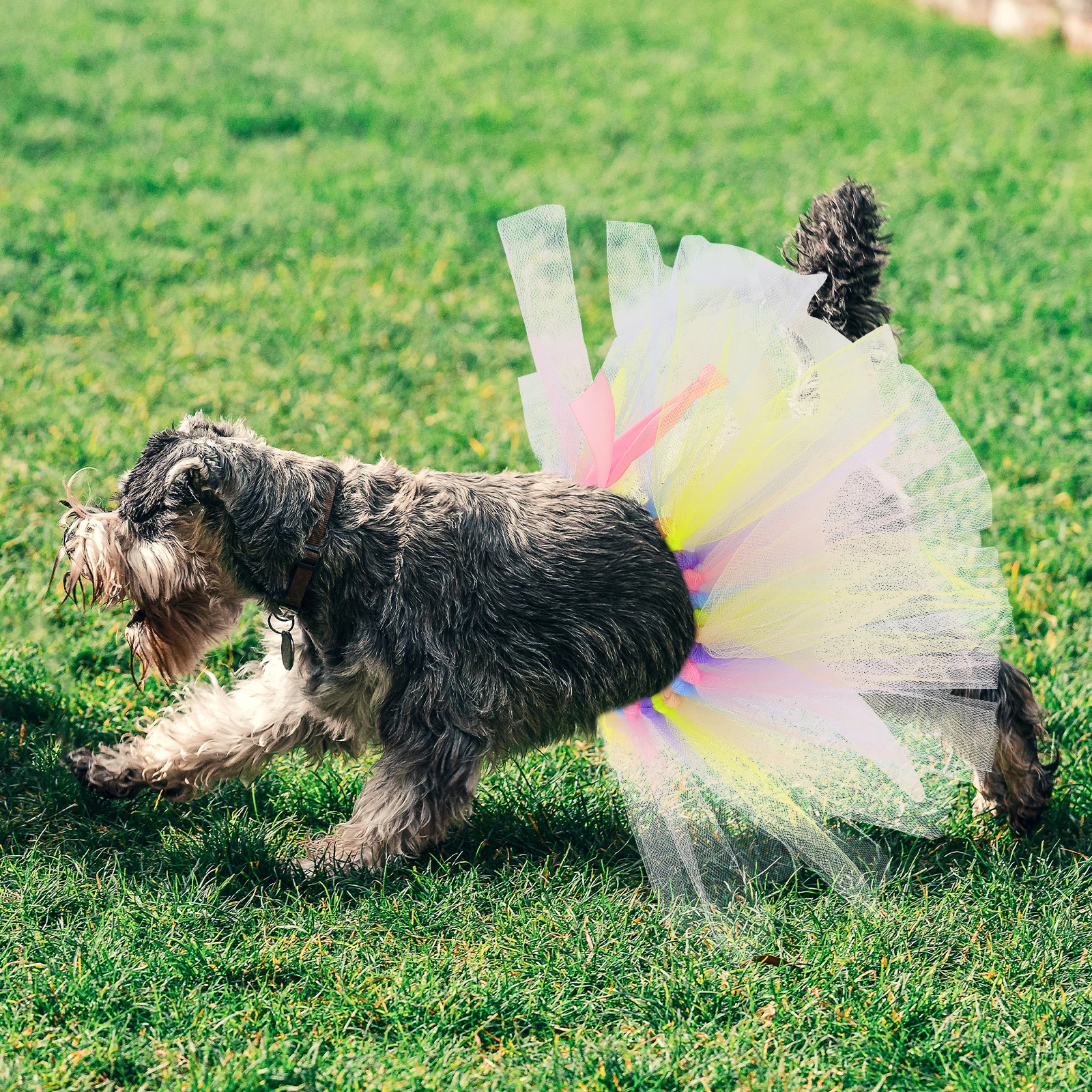 

Pet Princess Wedding Tutu Mesh Small Dog Dresses Puppy Clothes Rainbow Eater Eater Dog Dress Costumes Birthday Wear