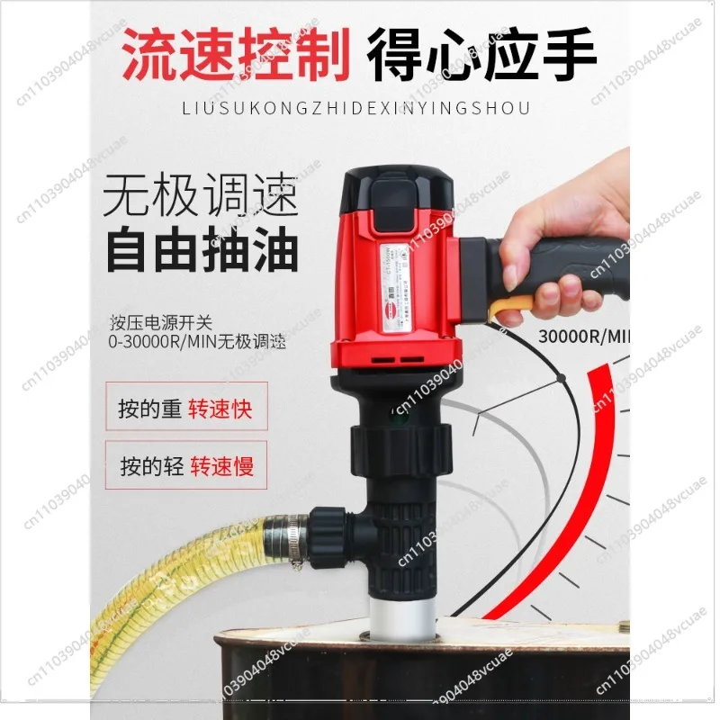 Electric Suction Pump Portable Small Stainless Steel Diesel Pump 220V High Power Anti-Corrosion Pump