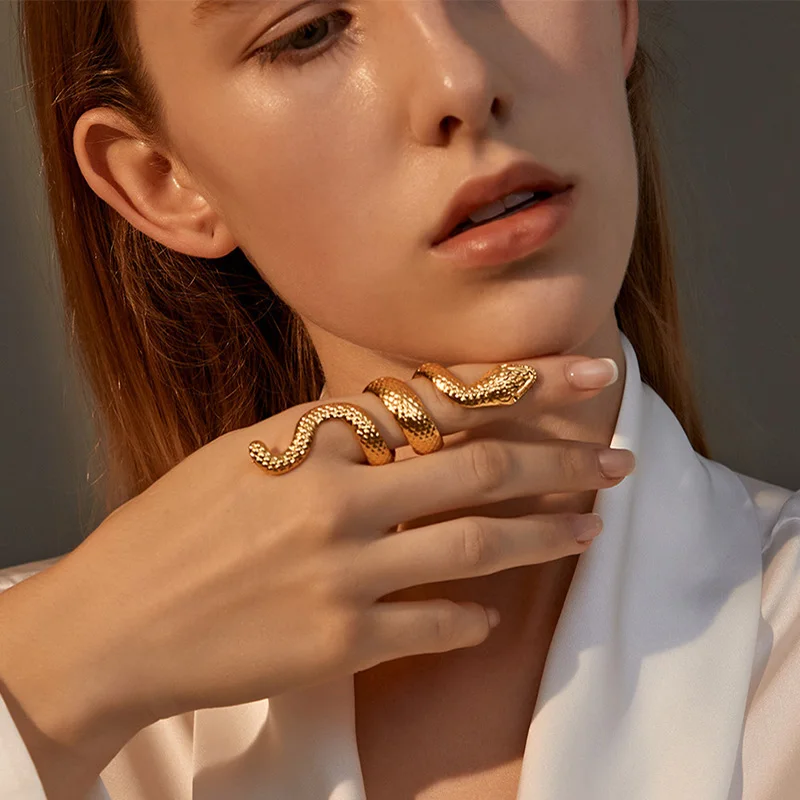 Foxanry Silver Color Snake Geometric Rings For Women Couples Punk Hip Hop Vintage Exaggerated Personality Party Jewelry Gifts