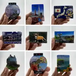 Japanese Refrigerator Stickers Travel Souvenirs Three-Dimensional Decoration Crafts Resin Hand-Painted Magnet Birthday Gift