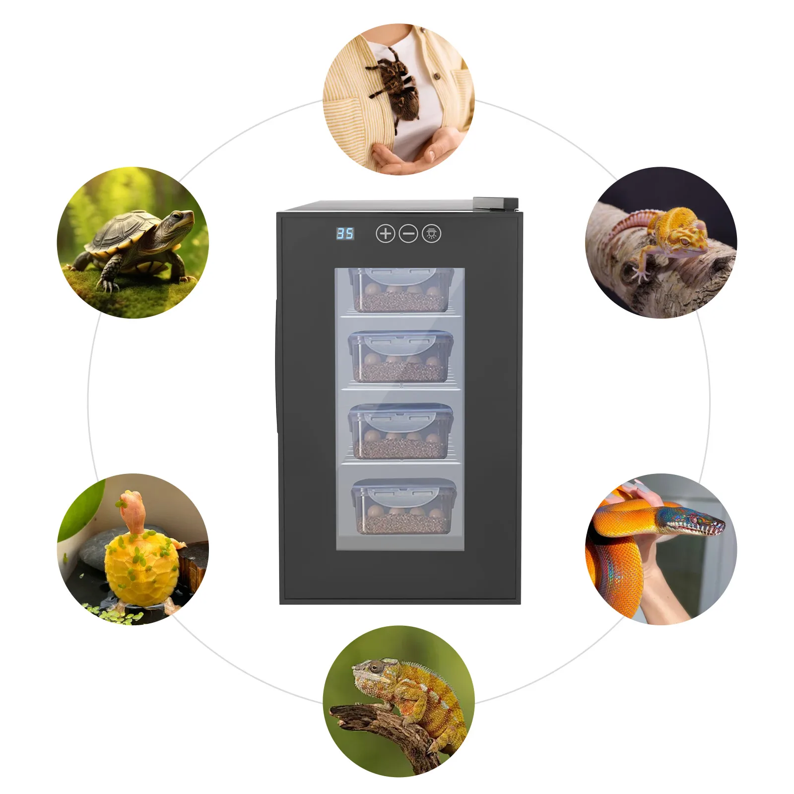 Incubateur pour reptiles à 4 niveaux, boîte d'éclosion à contrôle de température précis de 6,08 gallons pour tortues et lézards