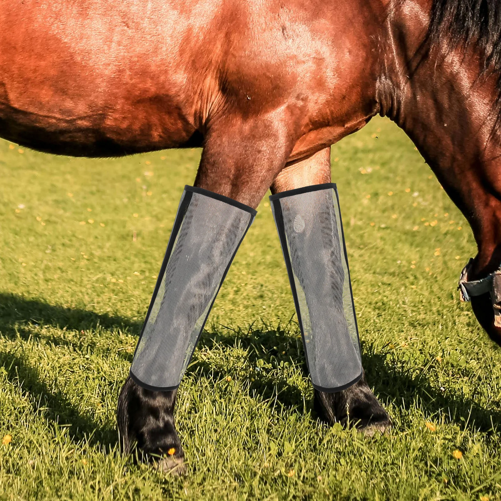 4 قطع من الأحذية الشبكية لحماية الساق قابلة للتنفس ومضادة لتخفيف تعب الساق ومستلزمات العناية بالحصان معدات ركوب الخيل #4