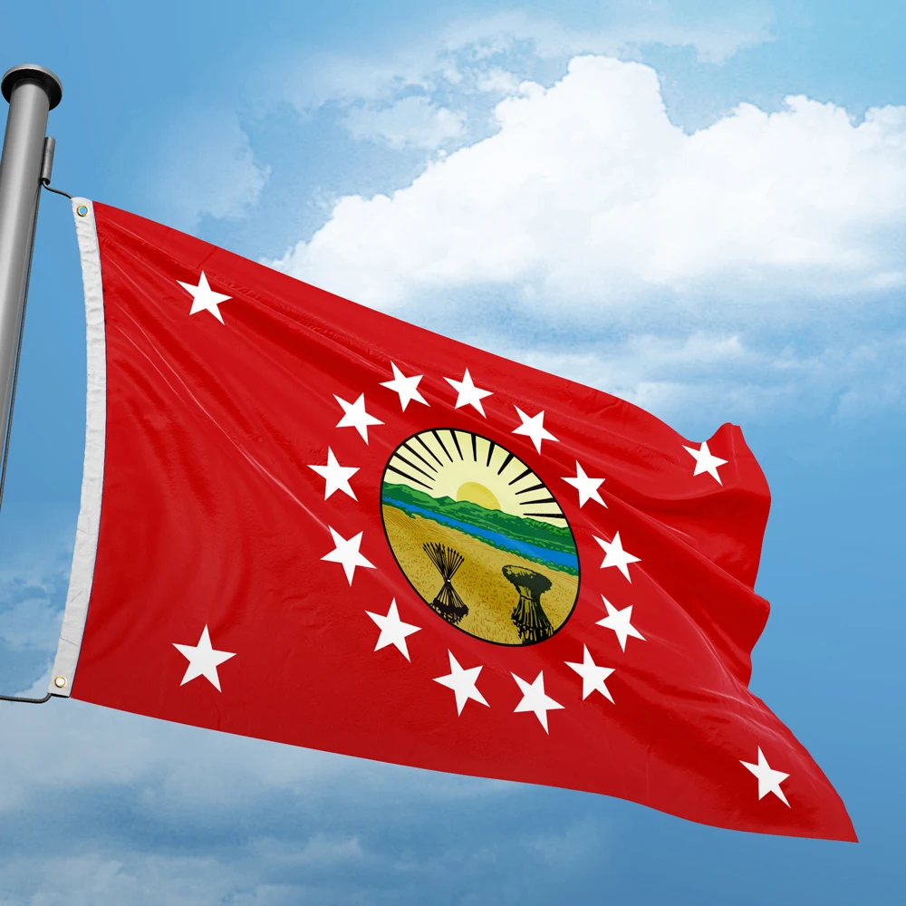 Standard Of The Governor Ohio  Flag 3*5FT 90*150CM USA States City Flags America Custom Indoor Outdoor Decor Banners Polyester