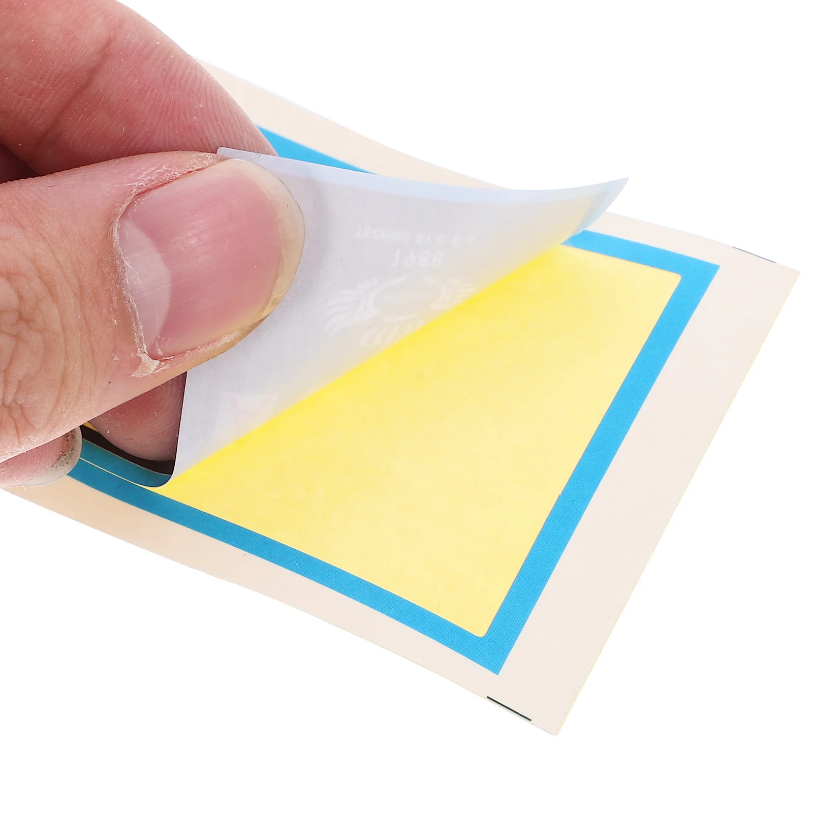 

Violin Fingerboard Sticker Durable Adhesive Easy Removal Fretboard Learning Guide Label for Beginner Violin Fret Guide