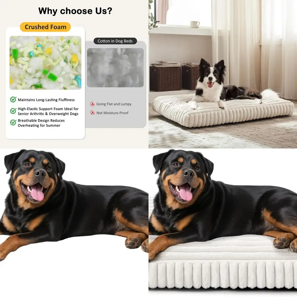 

XXL Dog Bed, Removable Cover, Thick Foam, Anti-Slip Base, Cute Pet Mat for Indoor Use