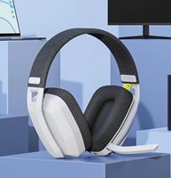 BINNUNE BW06 Bluetooth Headsets Gamer with Mic for PS5 PS4 PC Mac Playstation Wireless 2.4GHz Gaming Headphone with Microphone