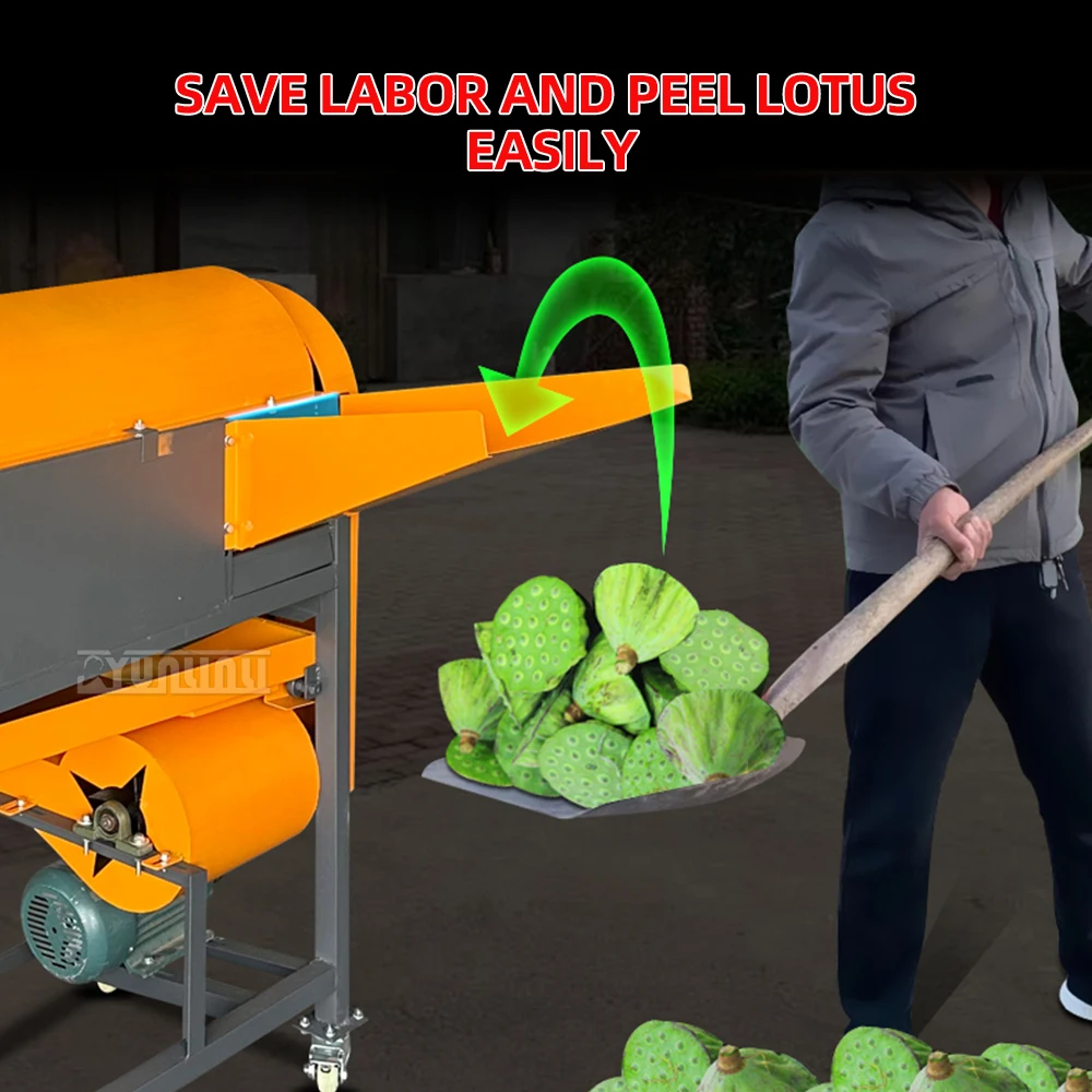 1000kg/h 2.2kw 220v electric lotus seed remover, lotus seed Dehulling Machine, lotus seed separator, thresher, thresher tool