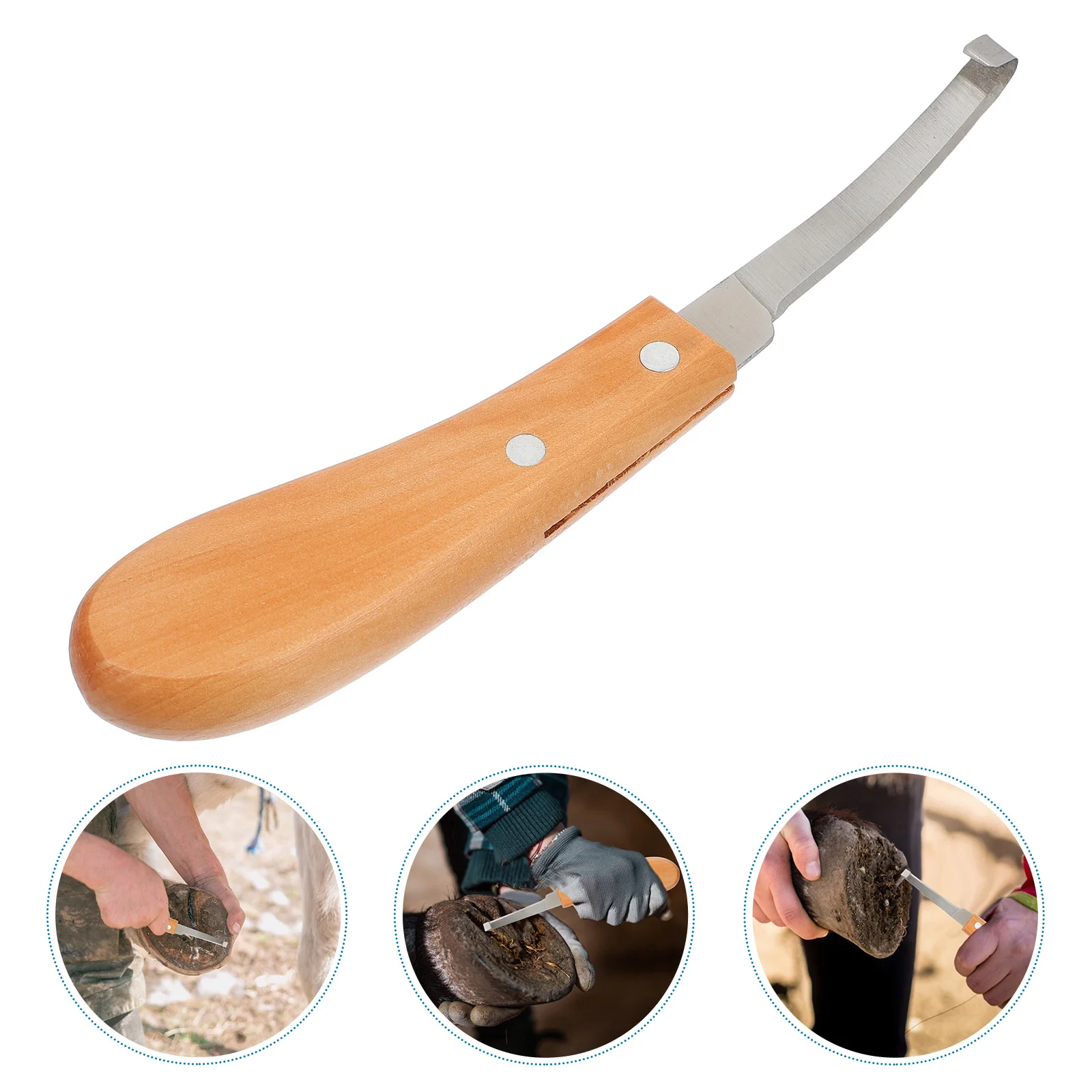 

Horse Hoof Trimmer Cattle Brown Stainless Steel Horseshoe Repair Lightweight Portable Suitable for Horse Cattle Sheep