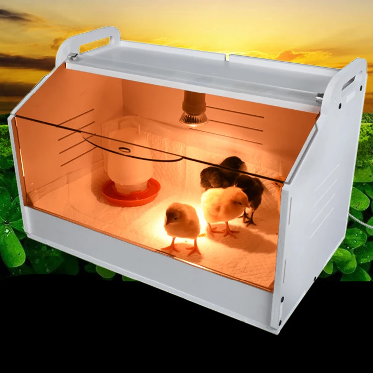 Warm-box Quail Tortoise Hamster hedgehog Reptiles Parrot Birds Brood Cabinet Cages Breeding Incubator